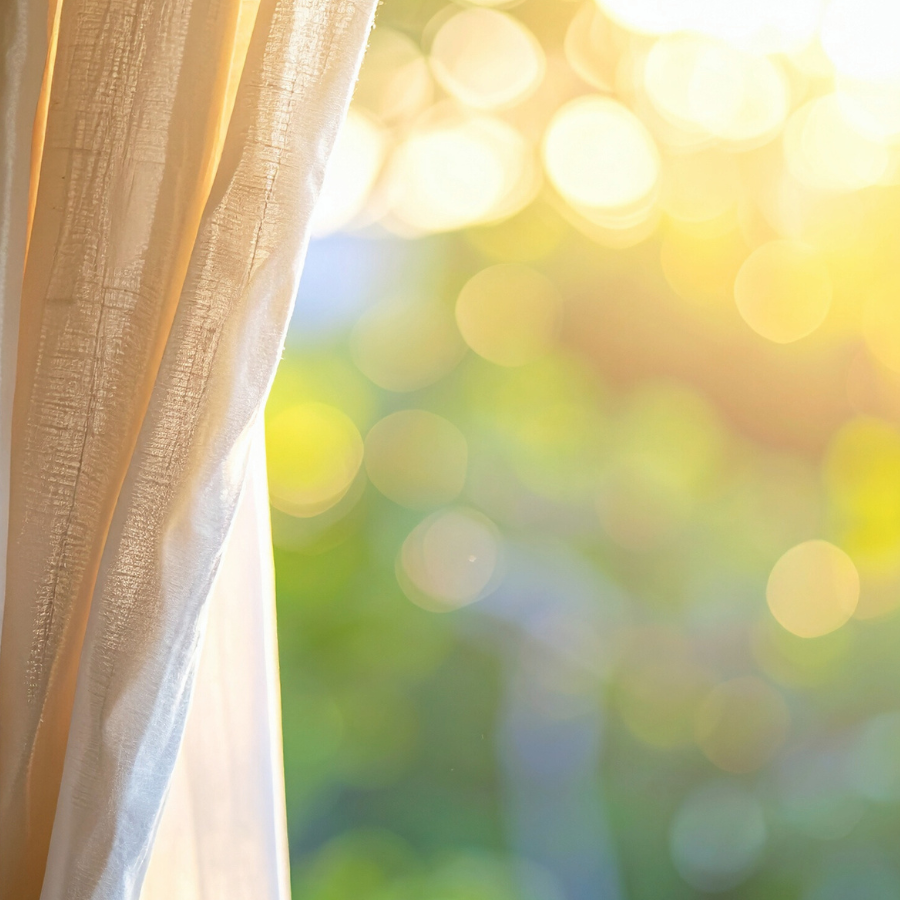 体の状態を事実として受け取り、静かに変化が始まることを象徴する、光に照らされた木々