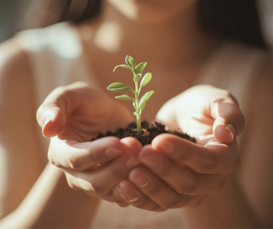 小さな植物を両手で丁寧に支える女性の手元