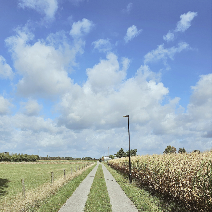 空へと続く一本道の風景。過去の経験を振り返るイメージ