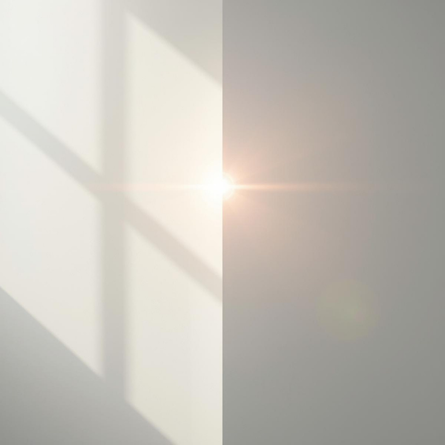 光と影が半分ずつ入る構図の静かな風景