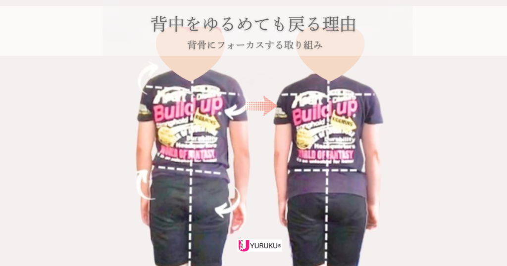 背中をゆるめても戻ってしまう理由を解説する、背骨にフォーカスするレッスン前後の比較画像