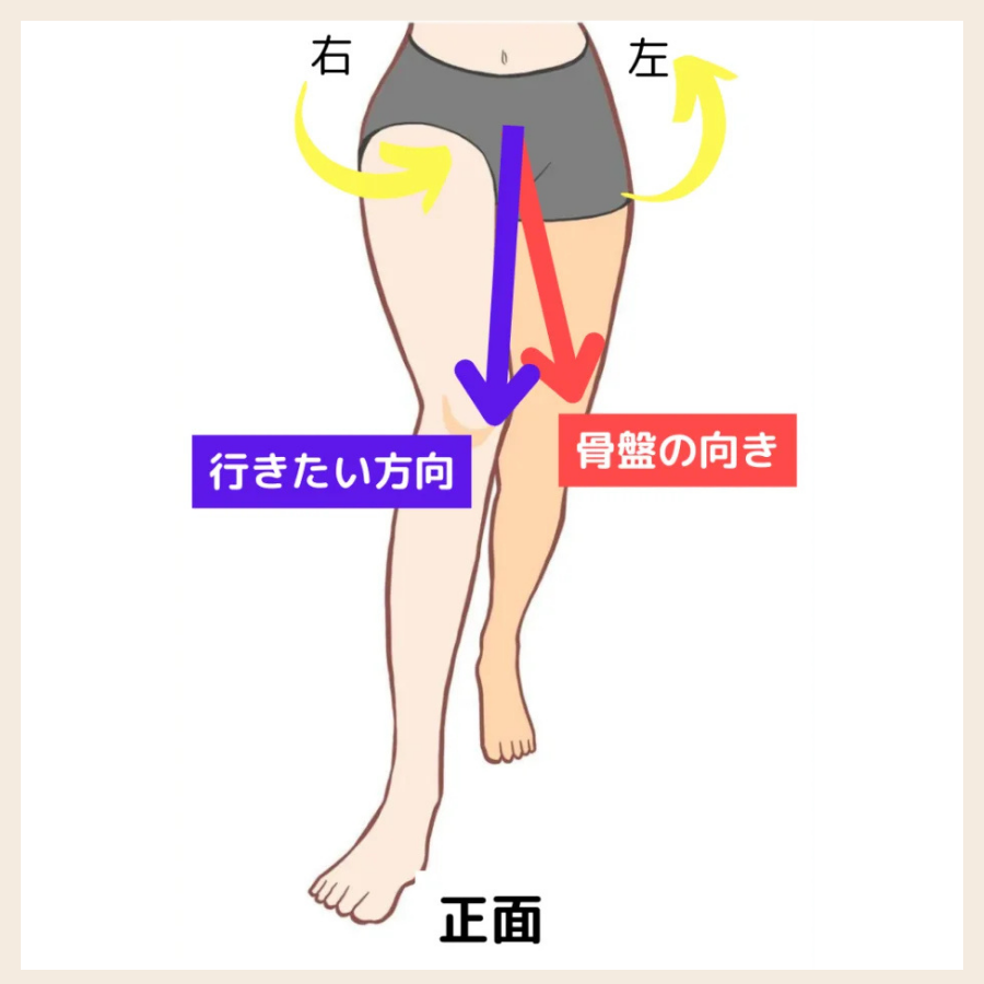 骨盤の向きと足の進行方向のズレ|ねじれ歩行の仕組み