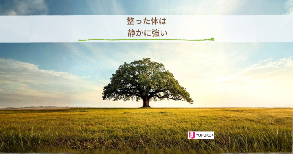整った体は静かに強いというメッセージと、大地に根を張る一本の木の風景