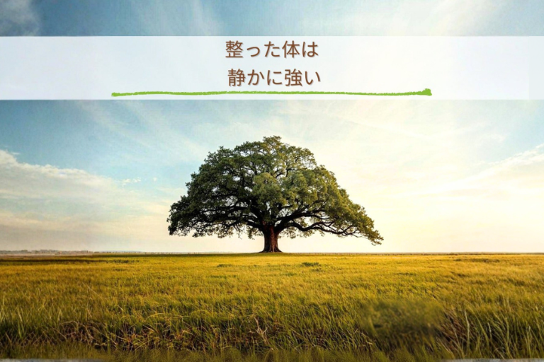 整った体は静かに強い｜本来の姿勢をイメージした一本の木の風景